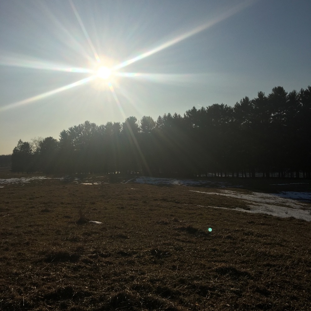 Meet your Posher, Chase